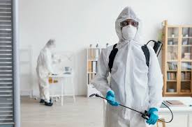 Pest Control Services Meerut | +91 93157 22253