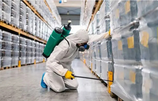 Pest Control Services Meerut | +91 93157 22253