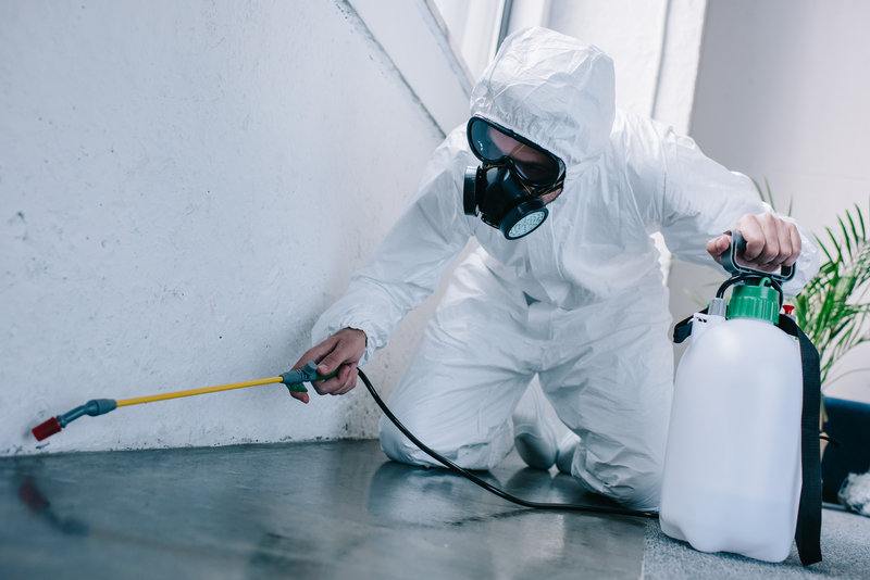 Pest Control Services Meerut | +91 93157 22253